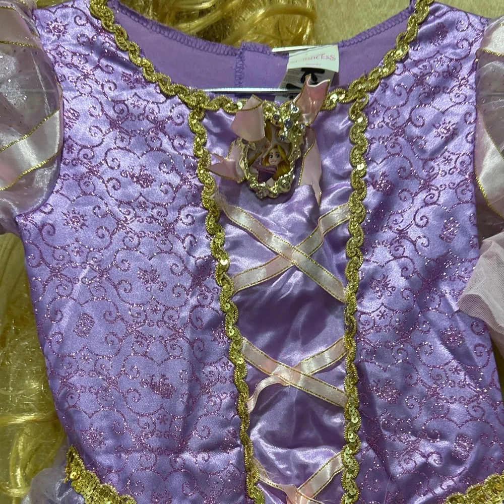 Disney Purple and Gold Rapunzel Princess Dress Costume - Picture 5 of 8